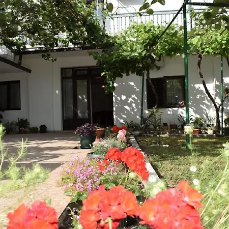 Apartment Marina Becici (Budva)